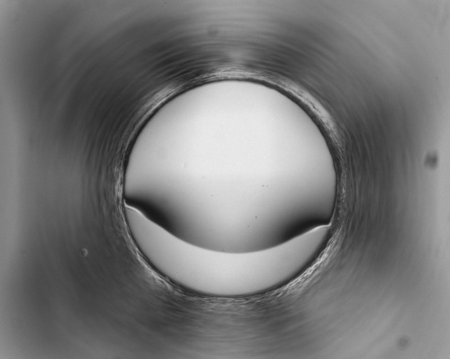 X0000103460809200810031457