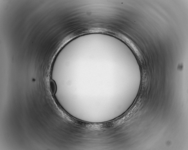 X0000103460810200810031457