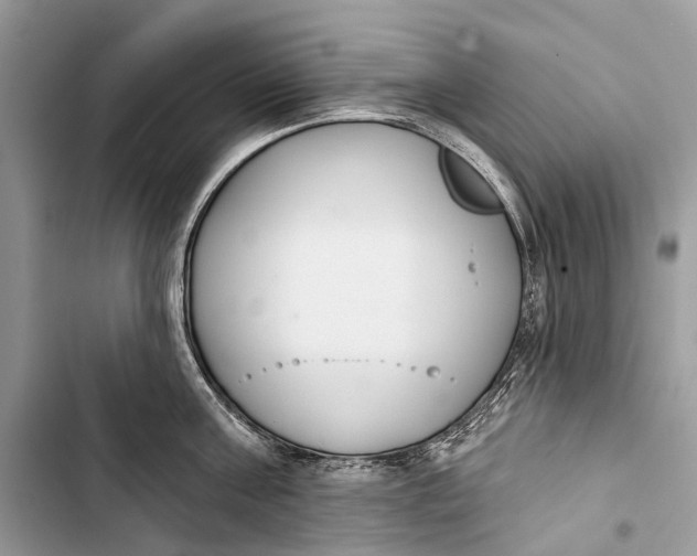 X0000103460811200810031457