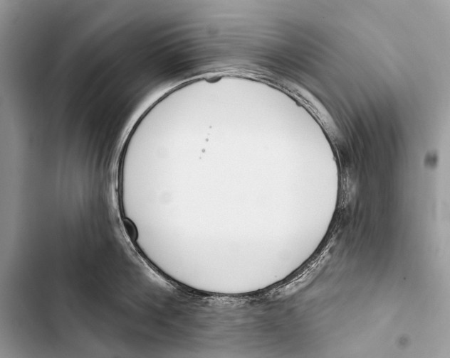 X0000103460812200810031457