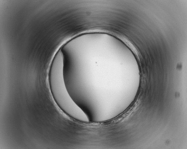 X0000103460813200810031457