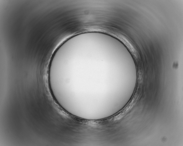 X0000103460814200810031457