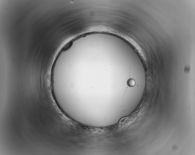 X0000103460815200810031457