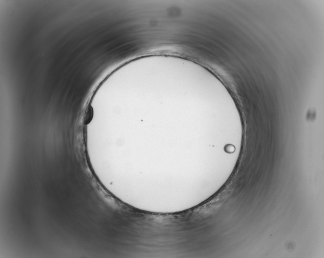 X0000103460816200810031457