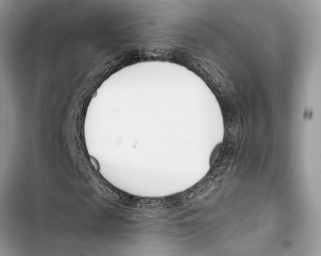 X0000103460817200810031456