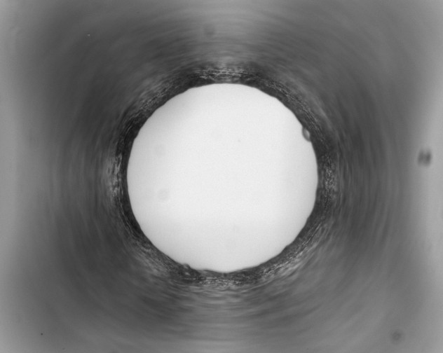 X0000103460818200810031456