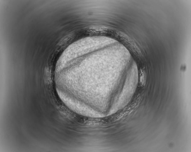 X0000103460819200810031456