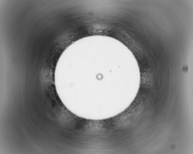 X0000103460820200810031456