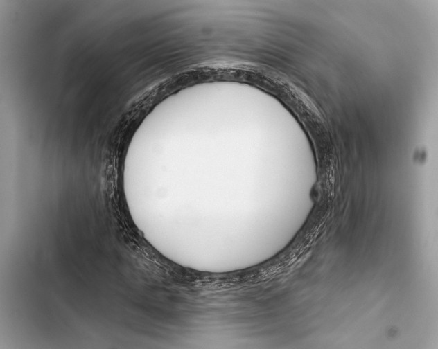 X0000103460821200810031456