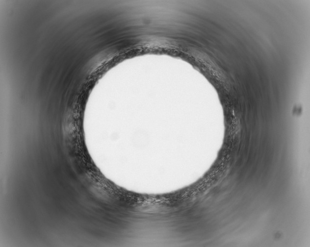 X0000103460824200810031456