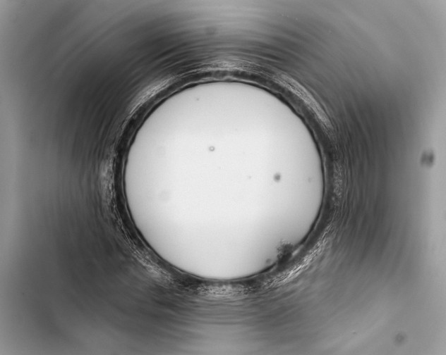 X0000103460826200810031456