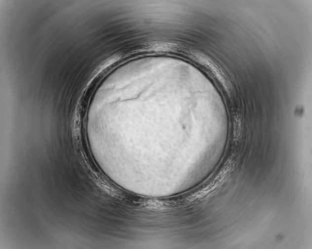 X0000103460827200810031456