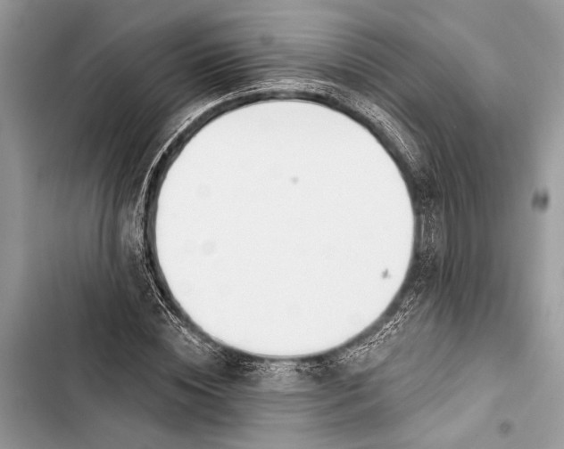 X0000103460828200810031456