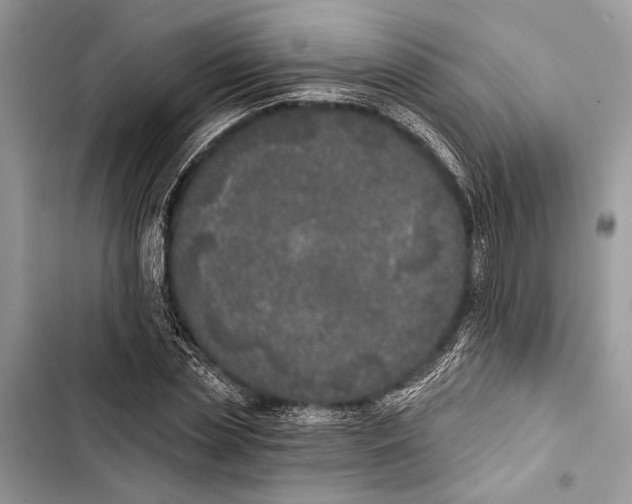 X0000103460829200810031456