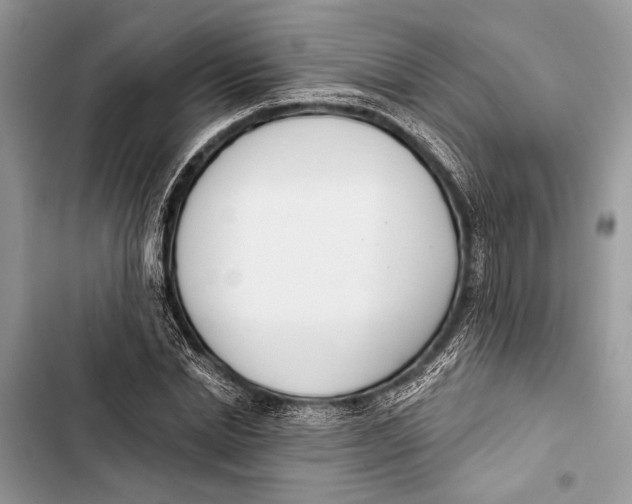 X0000103460830200810031456