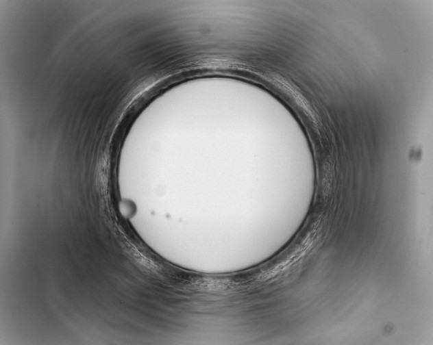 X0000103460831200810031456