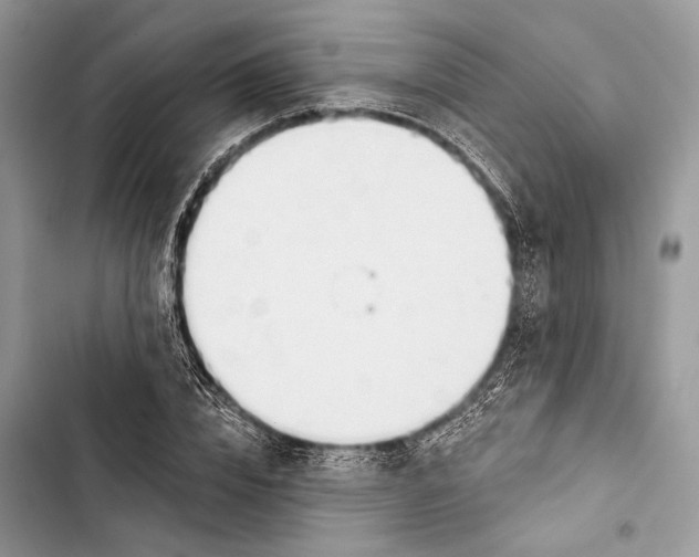 X0000103460832200810031456