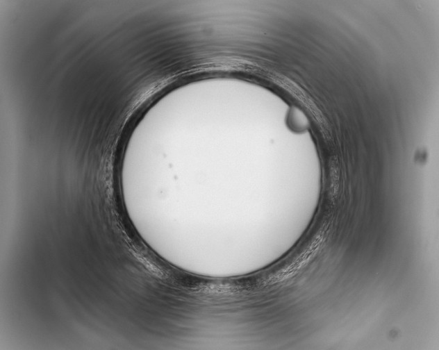 X0000103460834200810031456