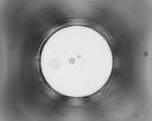 X0000103460836200810031456