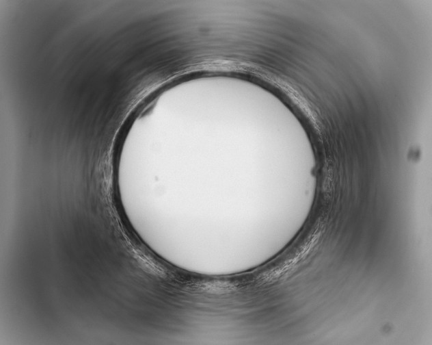 X0000103460837200810031456