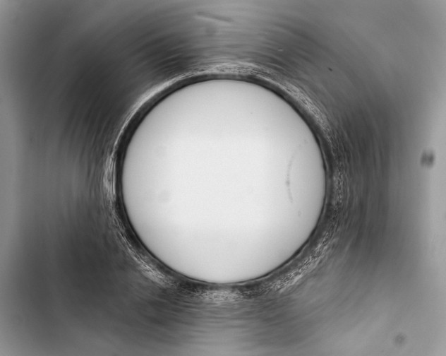 X0000103460838200810031456