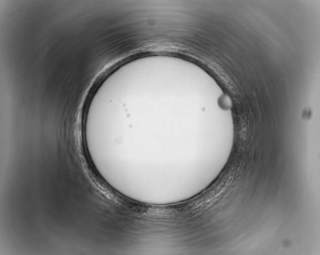 X0000103460840200810031456