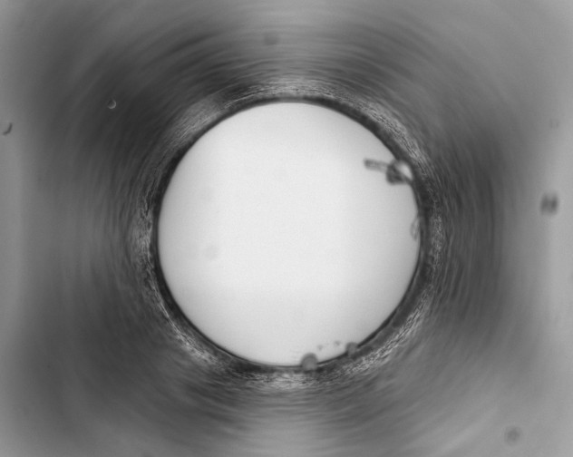 X0000103460841200810031456