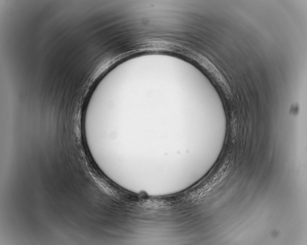 X0000103460842200810031456