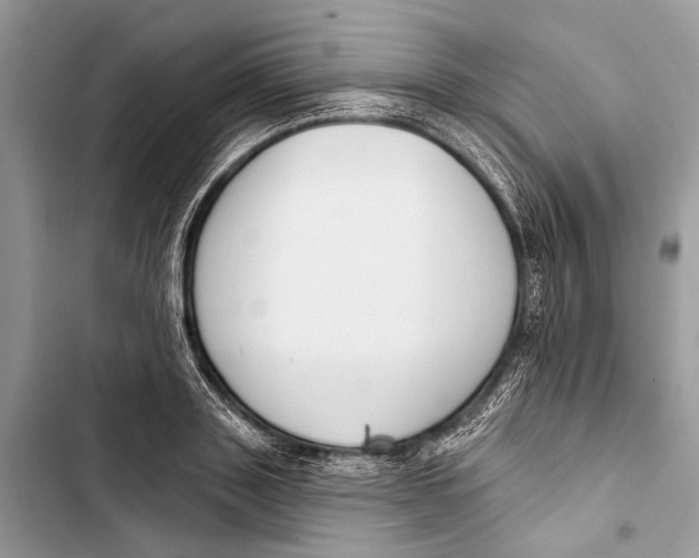 X0000103460843200810031456