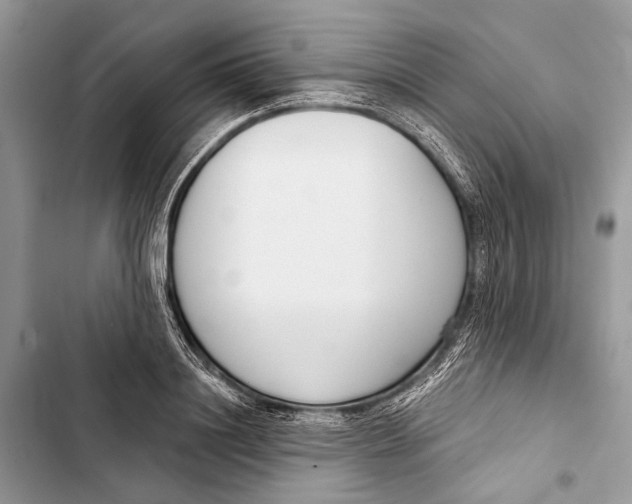 X0000103460844200810031456