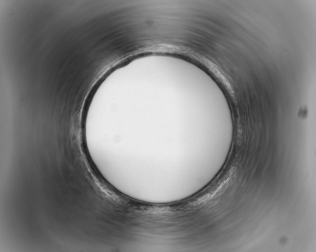 X0000103460845200810031456