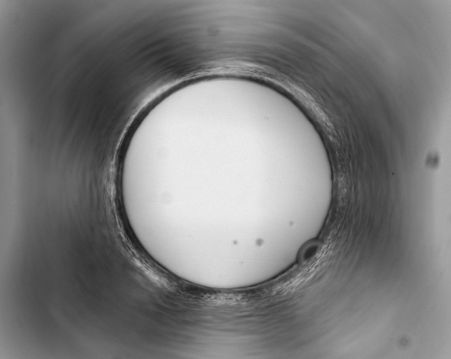 X0000103460846200810031456