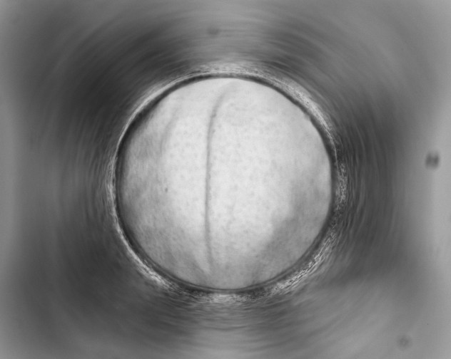 X0000103460847200810031456