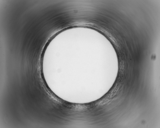 X0000103460848200810031456