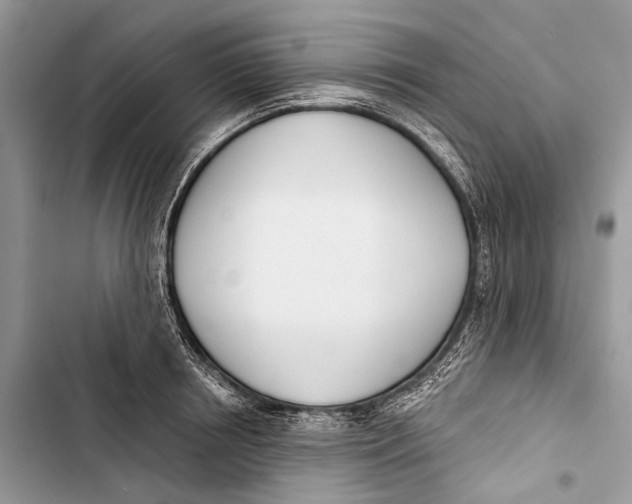 X0000103460850200810031456