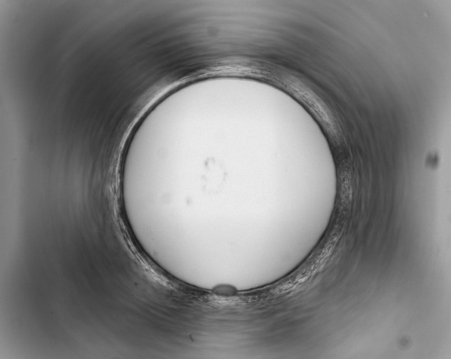 X0000103460852200810031456