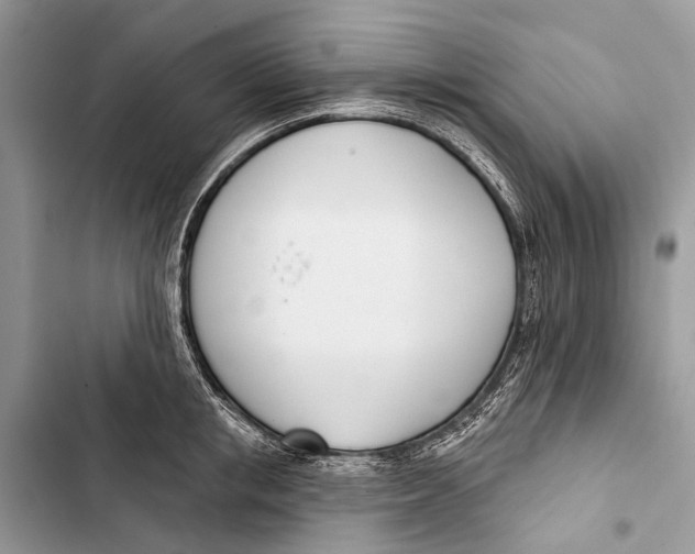 X0000103460853200810031456