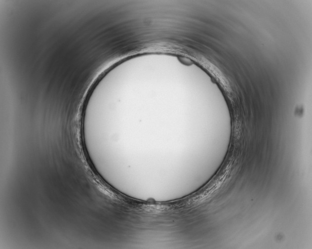 X0000103460854200810031456