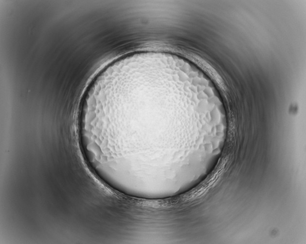 X0000103460855200810031456