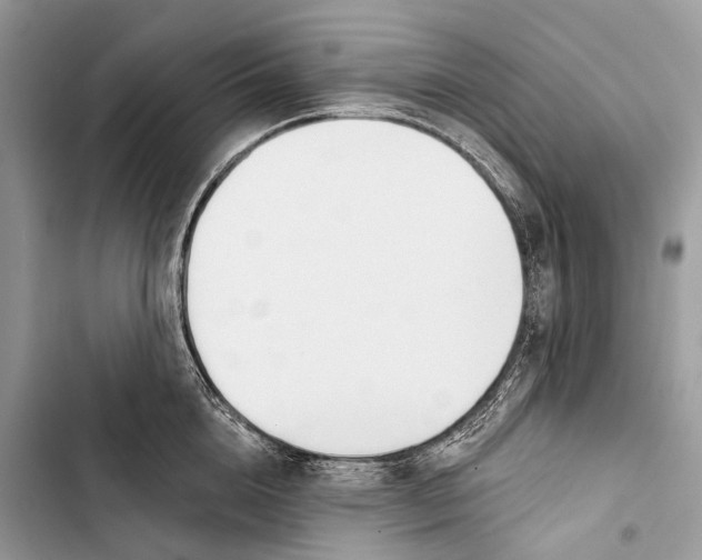 X0000103460856200810031456