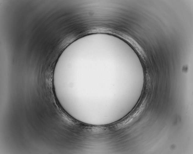 X0000103460857200810031456