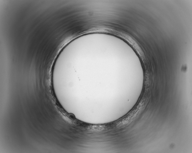 X0000103460858200810031456