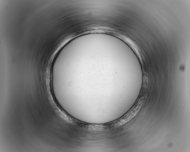 X0000103460859200810031456