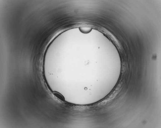 X0000103460860200810031456