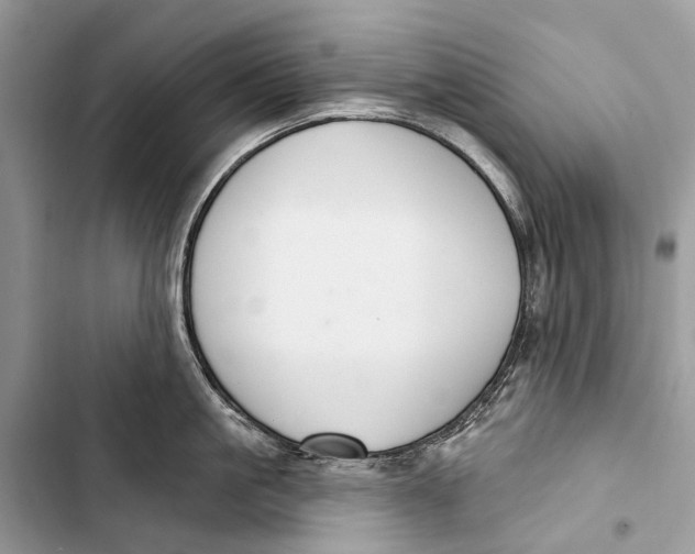 X0000103460861200810031456