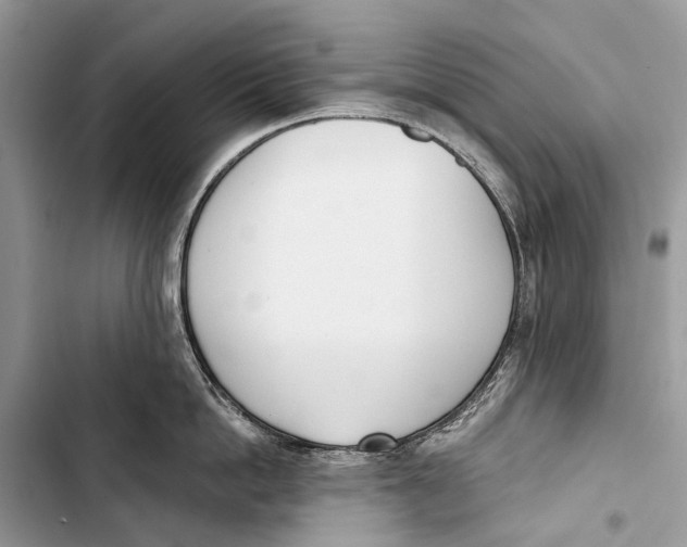 X0000103460862200810031456