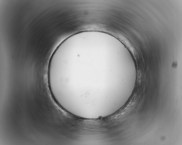 X0000103460863200810031456