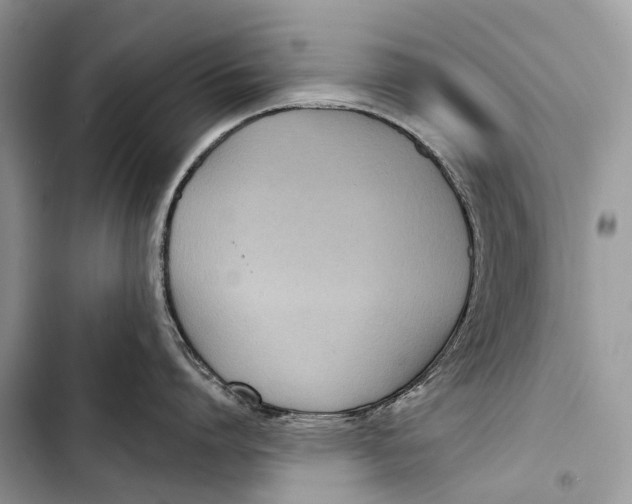 X0000103460864200810031456