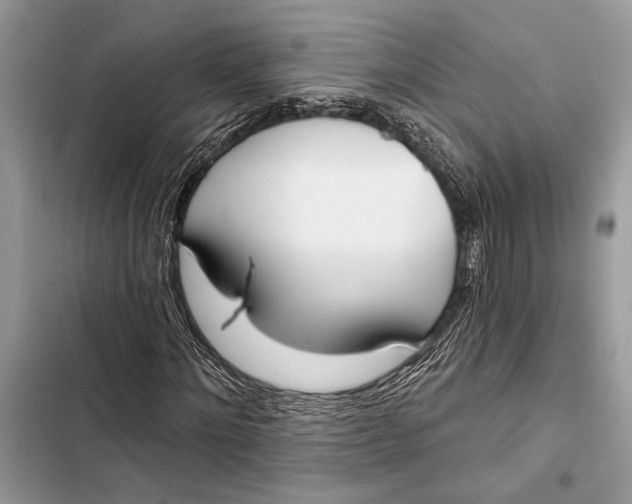 X0000103460868200810031456