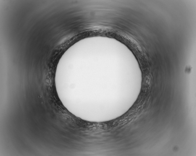 X0000103460869200810031456